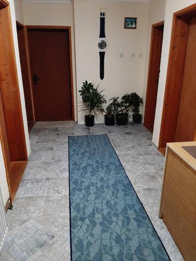 Privatni Smestaj Dobri Dobrosin Exterior foto